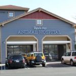 Rancho Viejo Animal Hospital