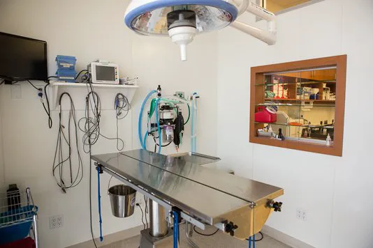 Rancho Viejo Animal Hospital Picture 6