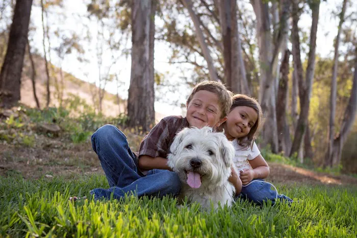 Rancho Viejo Animal Hospital Picture 5