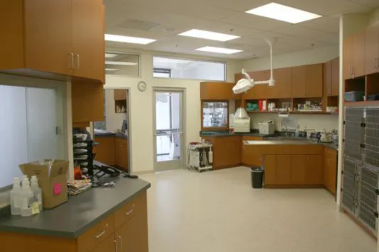 Rancho Viejo Animal Hospital Picture 8