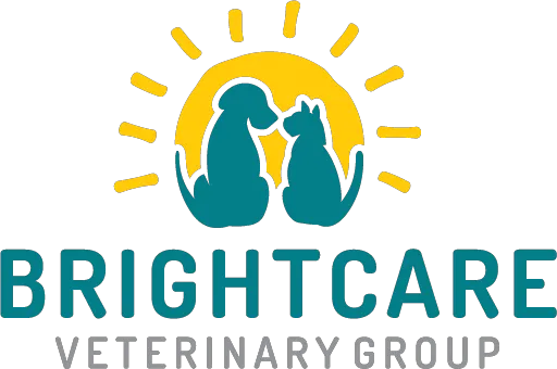 BrightCare Animal ER - Emergency Veterinarian Picture 1