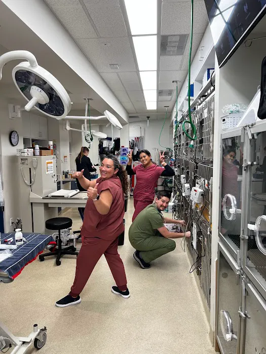 Precision Veterinary Surgery Picture 6