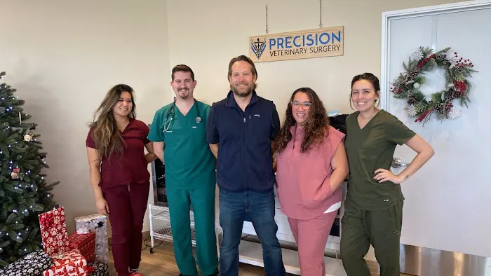 Precision Veterinary Surgery Picture 7