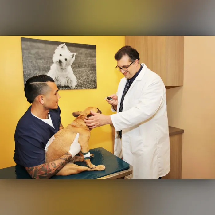 BrightCare Veterinary Group - Animal Neurology & Imaging Picture 9