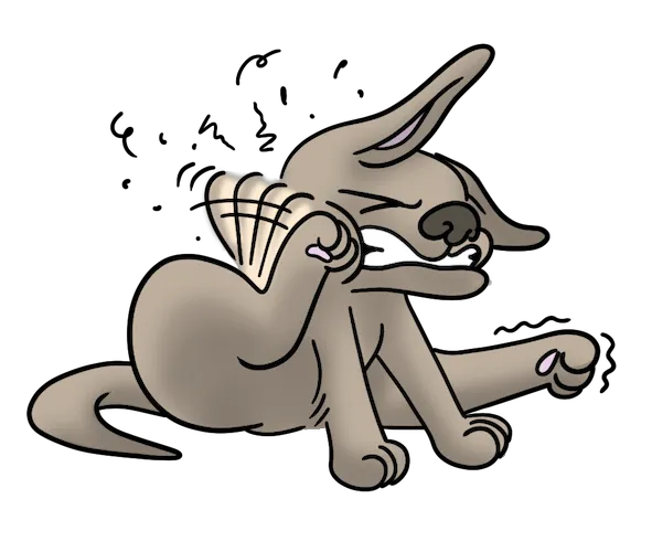 VetRelief.pet Picture 3