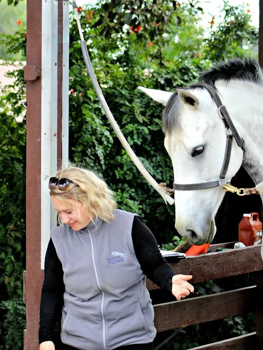 Baileys Equine Picture 2