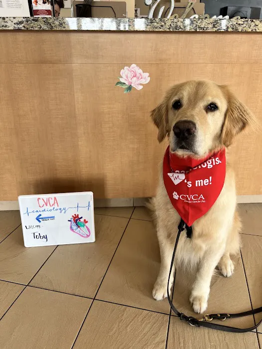 CVCA Cardiac Care for Pets Picture 6