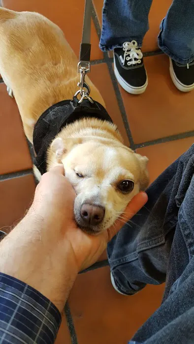 San Juan Animal Hospital Picture 3