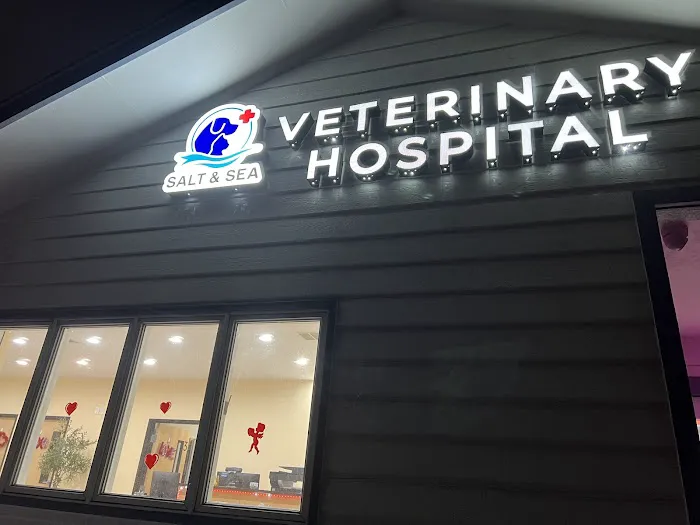 Salt & Sea Veterinary Hospital Picture 2