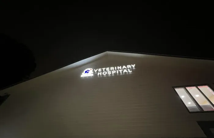 Salt & Sea Veterinary Hospital Picture 6