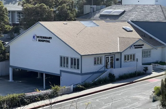 Salt & Sea Veterinary Hospital Picture 9