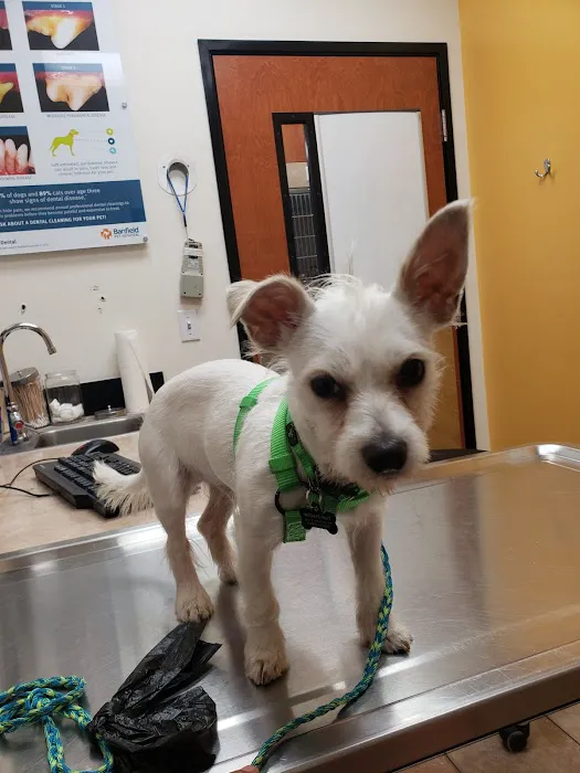 Banfield Pet Hospital Picture 1