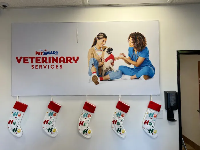 PetSmart Veterinary Services - San Juan Capistrano Picture 3
