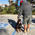 Beachside Animal Hospital and Surgery Centre