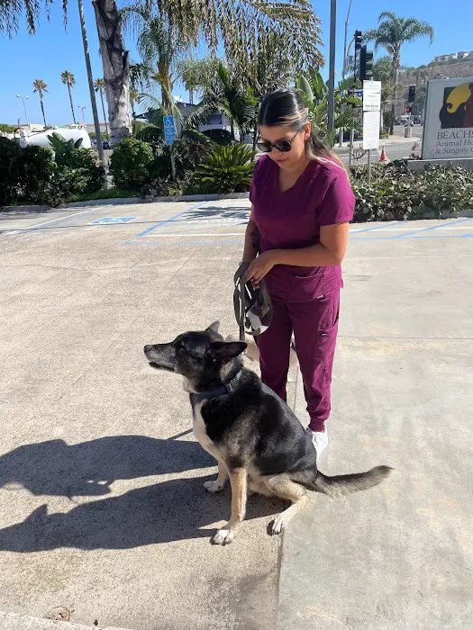Beachside Animal Hospital and Surgery Centre Picture 5