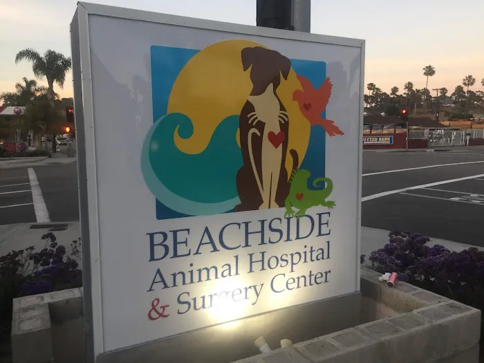 Beachside Animal Hospital and Surgery Centre Picture 6