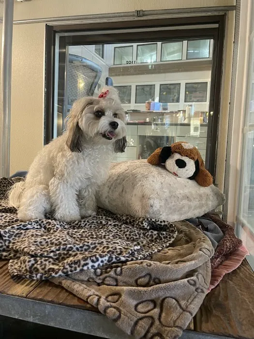 Ortega Animal Care Center Picture 5