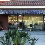 Marguerite Animal Hospital