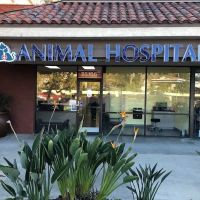 Marguerite Animal Hospital ico