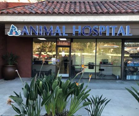 Marguerite Animal Hospital