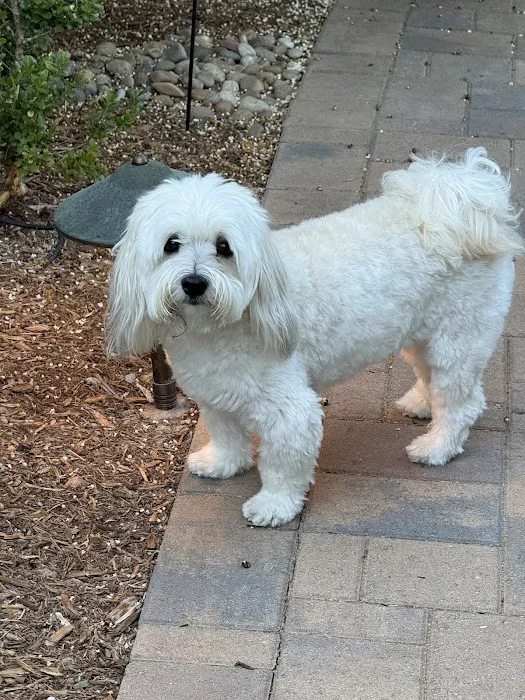 Ladera Ranch Animal Hospital Picture 2