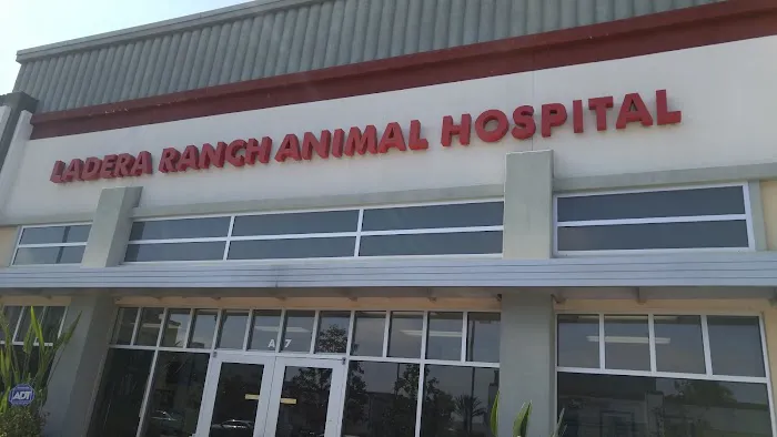 Ladera Ranch Animal Hospital Picture 4