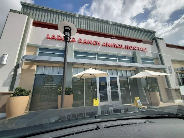 Ladera Ranch Animal Hospital Picture 9