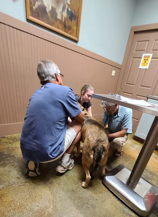 South Central Veterinary Services Picture 6