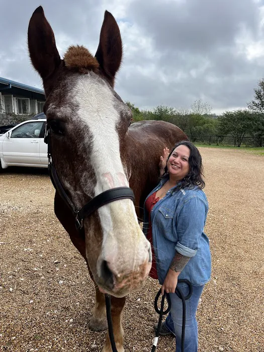 Brazos Valley Equine Hospitals - Navasota Picture 2