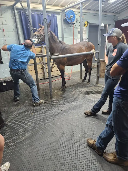 Brazos Valley Equine Hospitals - Navasota Picture 6