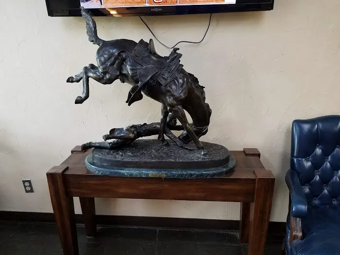 Brazos Valley Equine Hospitals - Navasota Picture 7