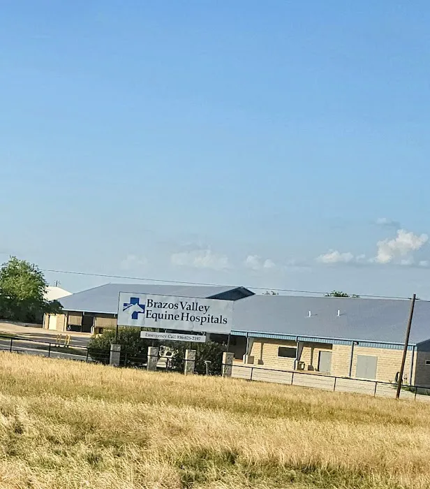 Brazos Valley Equine Hospitals - Navasota Picture 9