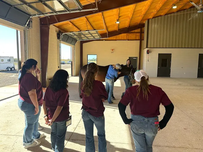 Brazos Valley Equine Hospitals - Navasota Picture 10