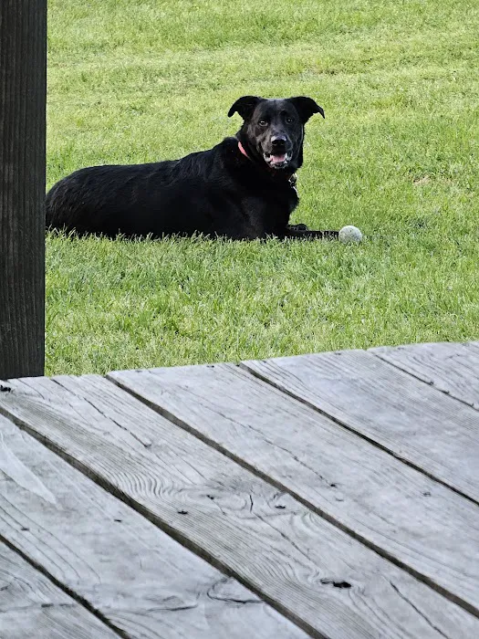 Dewberry Hill Veterinary Hospital Picture 5