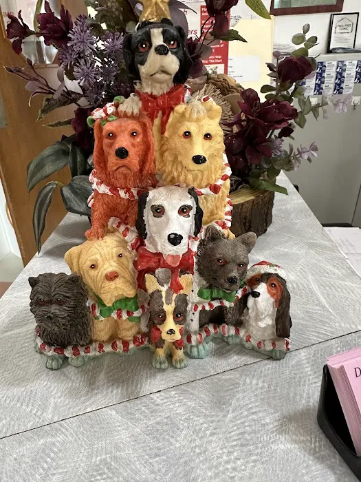 Dewberry Hill Veterinary Hospital Picture 2