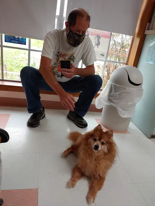 Dewberry Hill Veterinary Hospital Picture 4