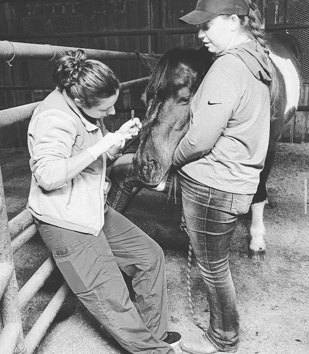 South 40 Equine Picture 2