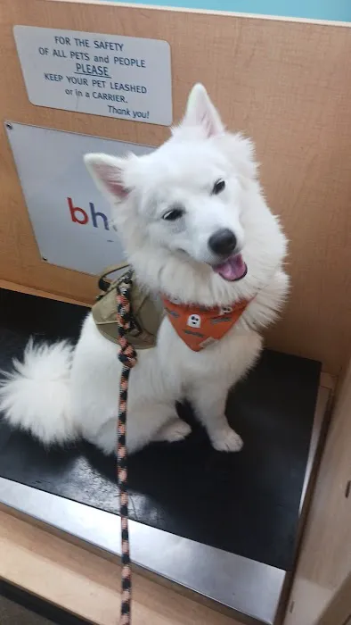 Banfield Pet Hospital Picture 1
