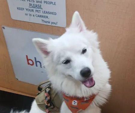 Banfield Pet Hospital