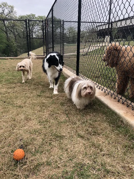 Brazos Valley Animal Hospital and Pet Resort Picture 3