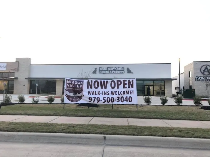 Brazos Valley Animal Hospital and Pet Resort Picture 6