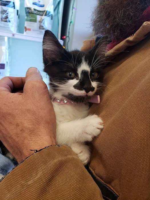 Shenandoah Veterinary Clinic Picture 3