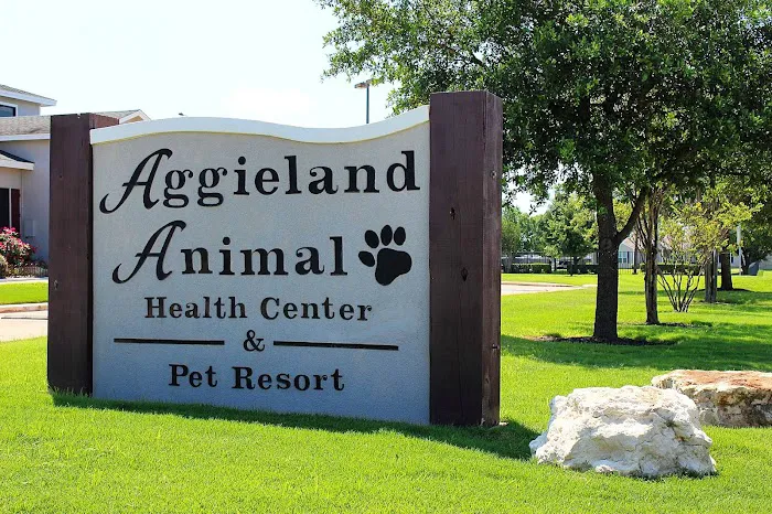 Aggieland Animal Health Center & Pet Resort Picture 4