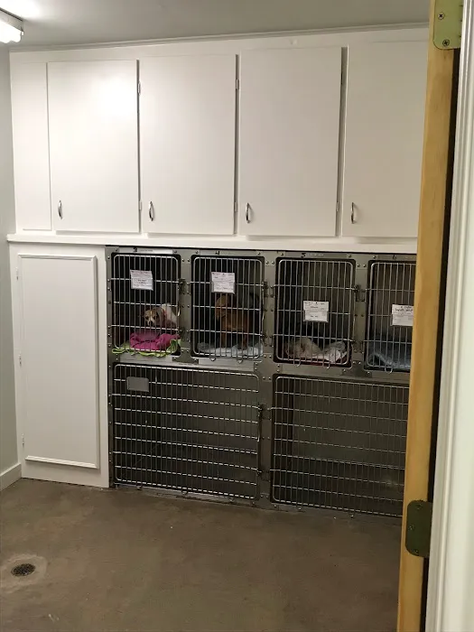 Star Hill Veterinary Clinic Picture 1