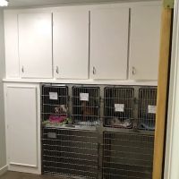 Star Hill Veterinary Clinic ico