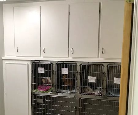 Star Hill Veterinary Clinic