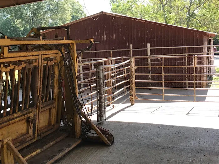 Star Hill Veterinary Clinic Picture 6