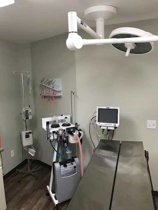 Star Hill Veterinary Clinic Picture 4
