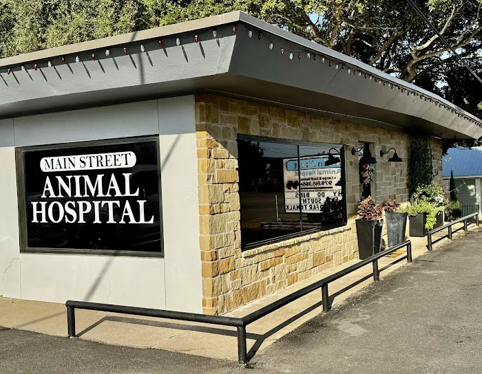 Main Street Animal Hospital Picture 3