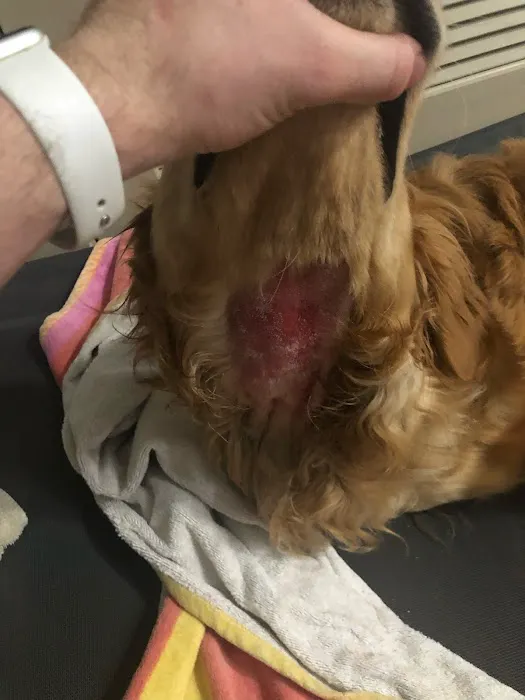 Philips Veterinary Hospital Picture 1